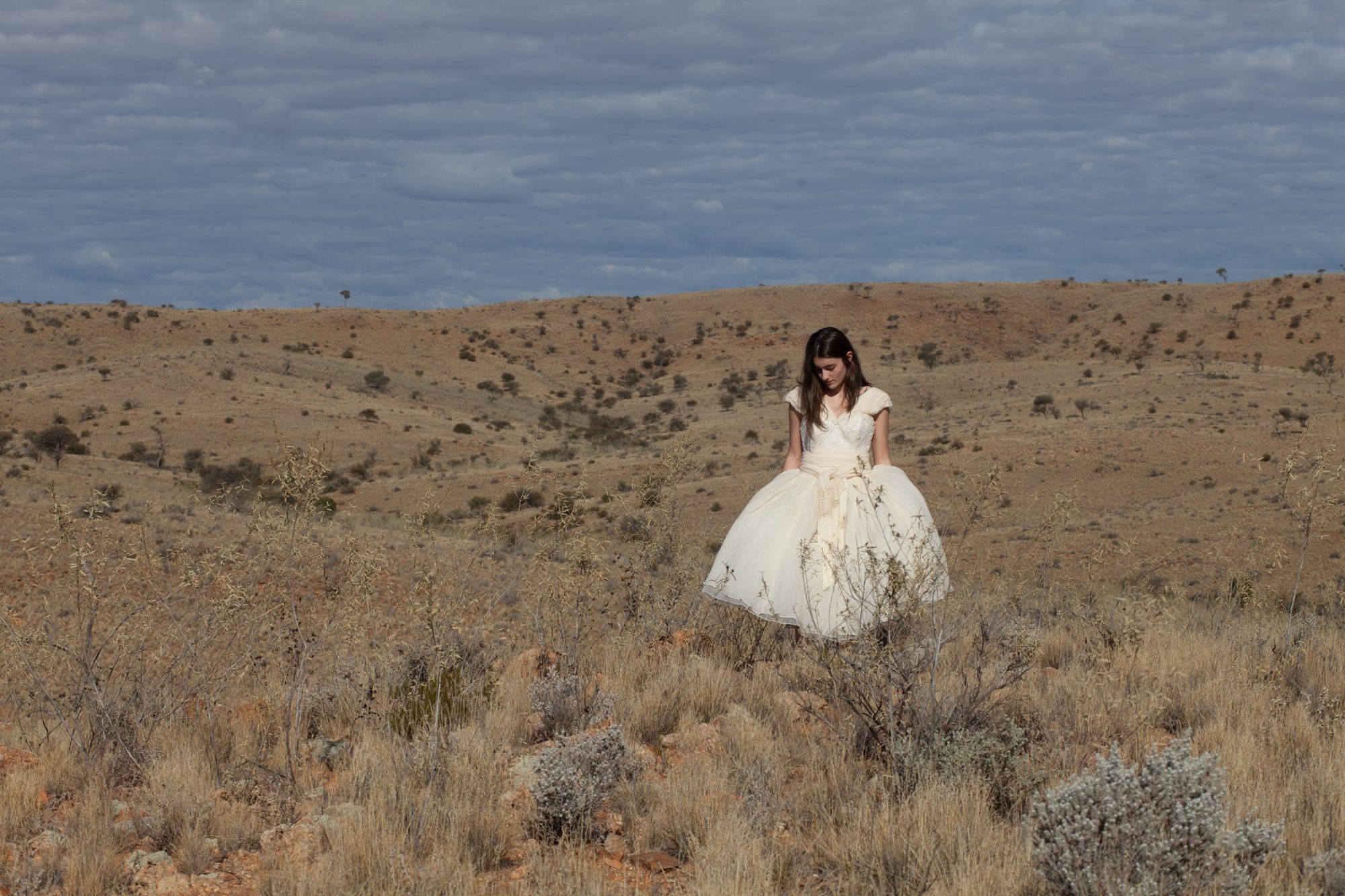 Reid Studios — Wedding, Portrait & Headshot Photographer, Fitzroy North · Twitter