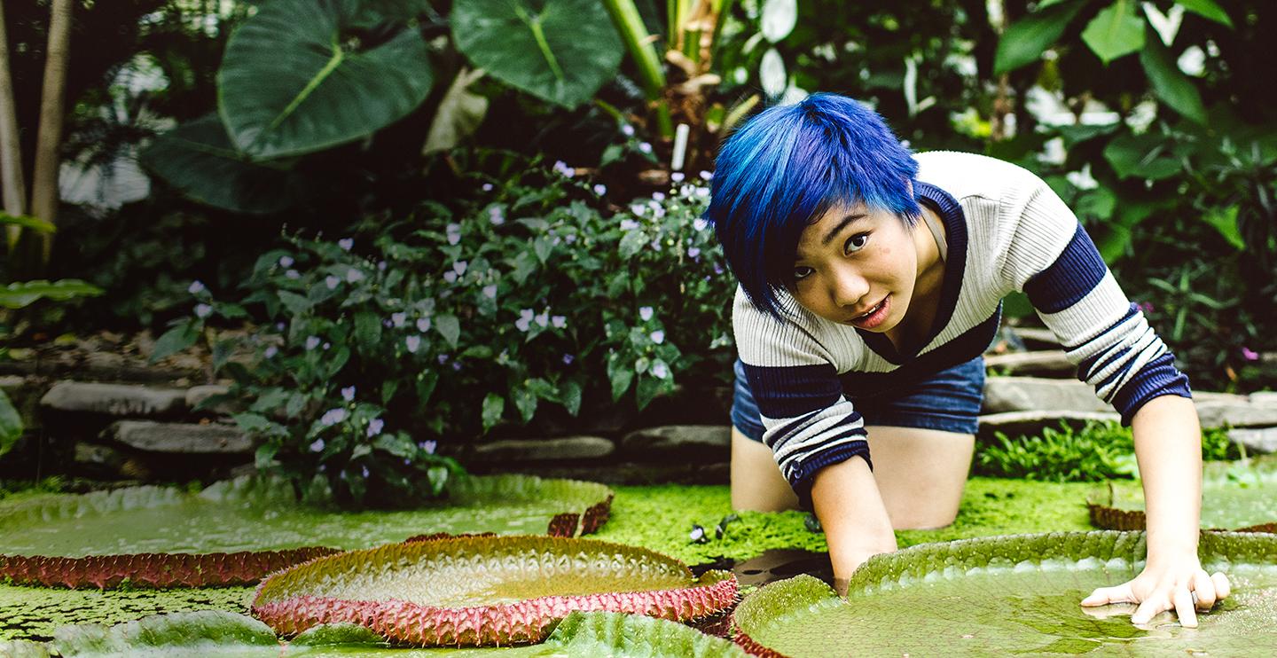 Student lifts up large lilly pad in a greenhouse