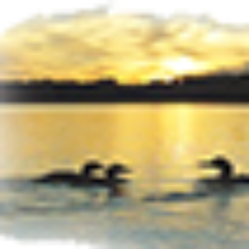 Homepage