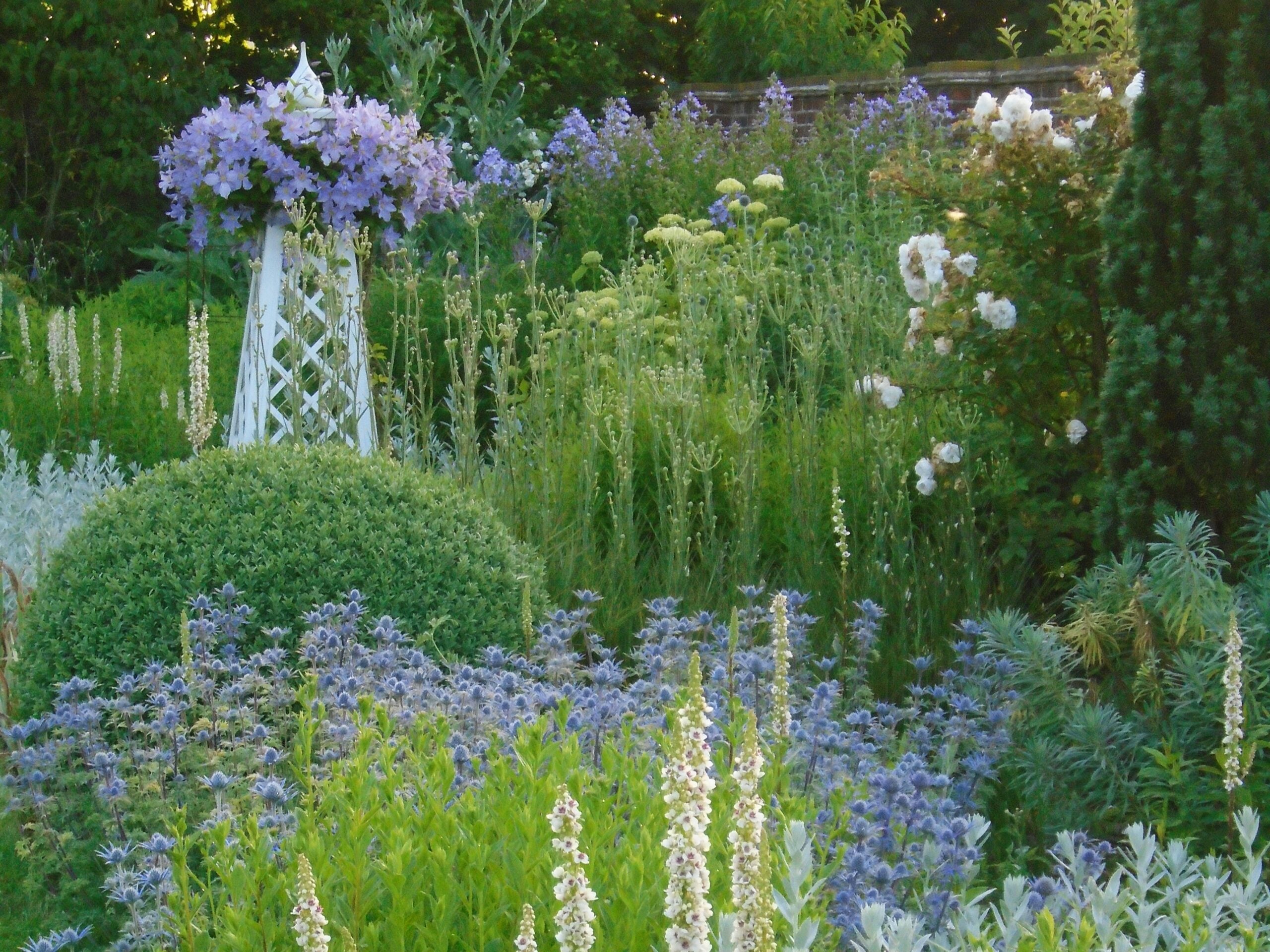Home - National Garden Scheme · Twitter