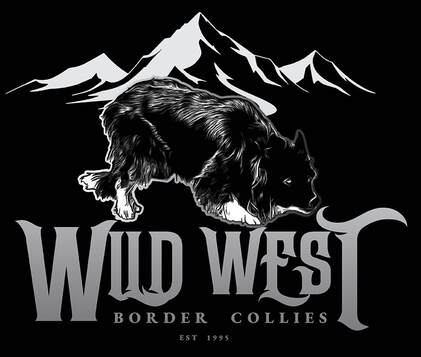 WILD WEST BORDER COLLIES · Twitter