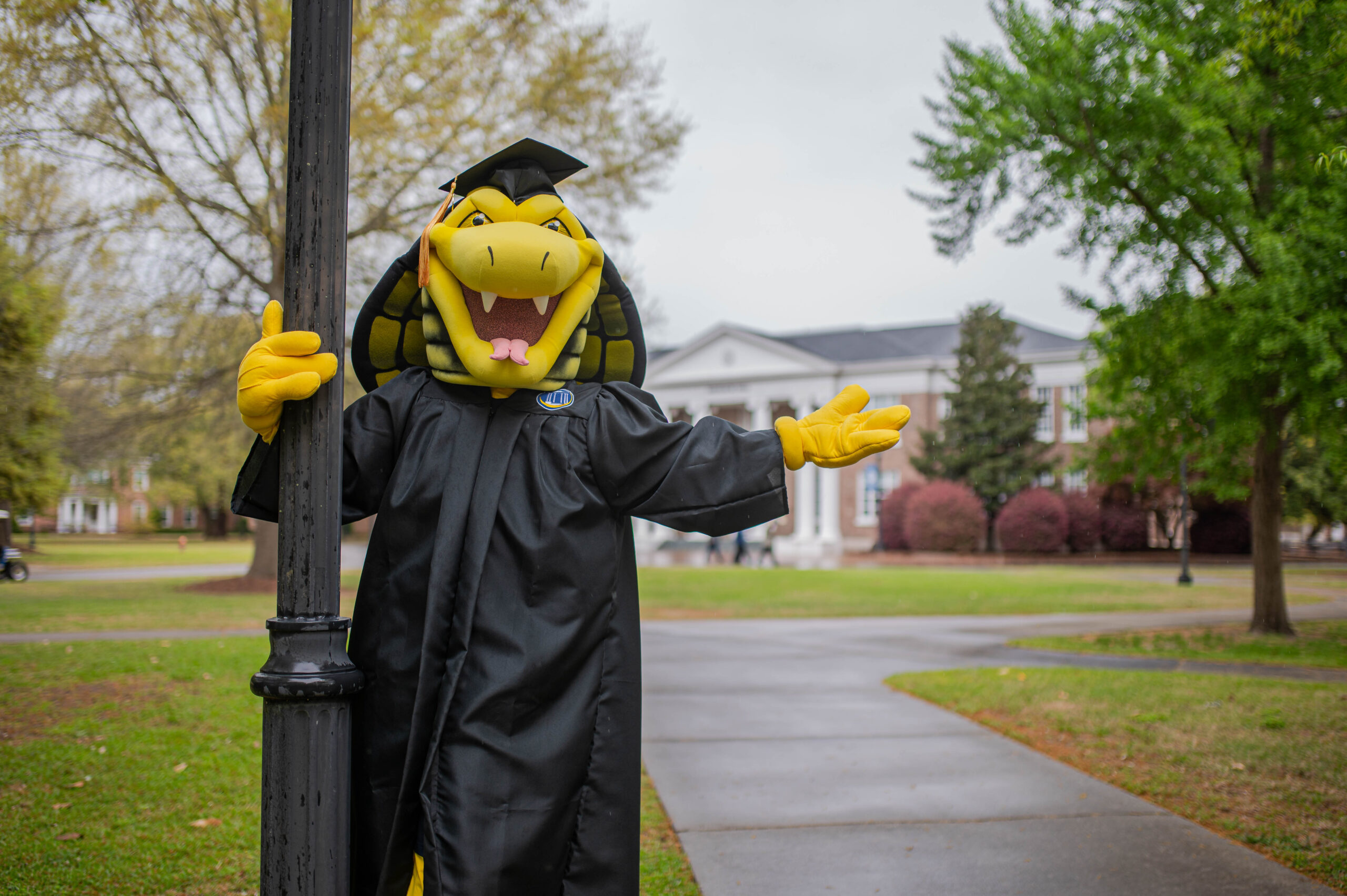 Coker University | Private College In South Carolina · Twitter