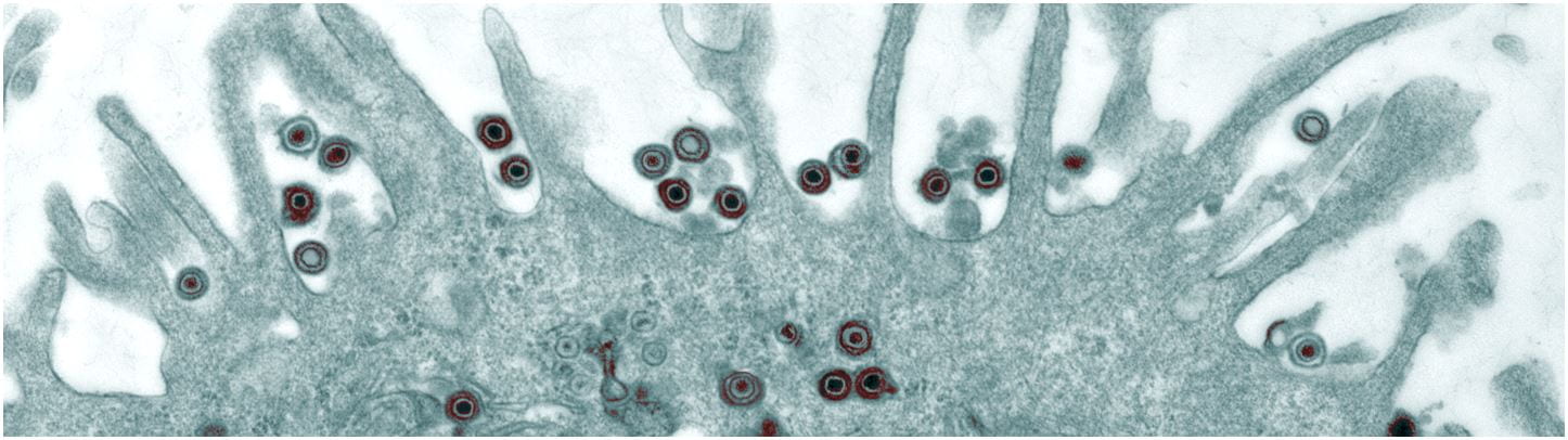 Department of Molecular Microbiology · Twitter