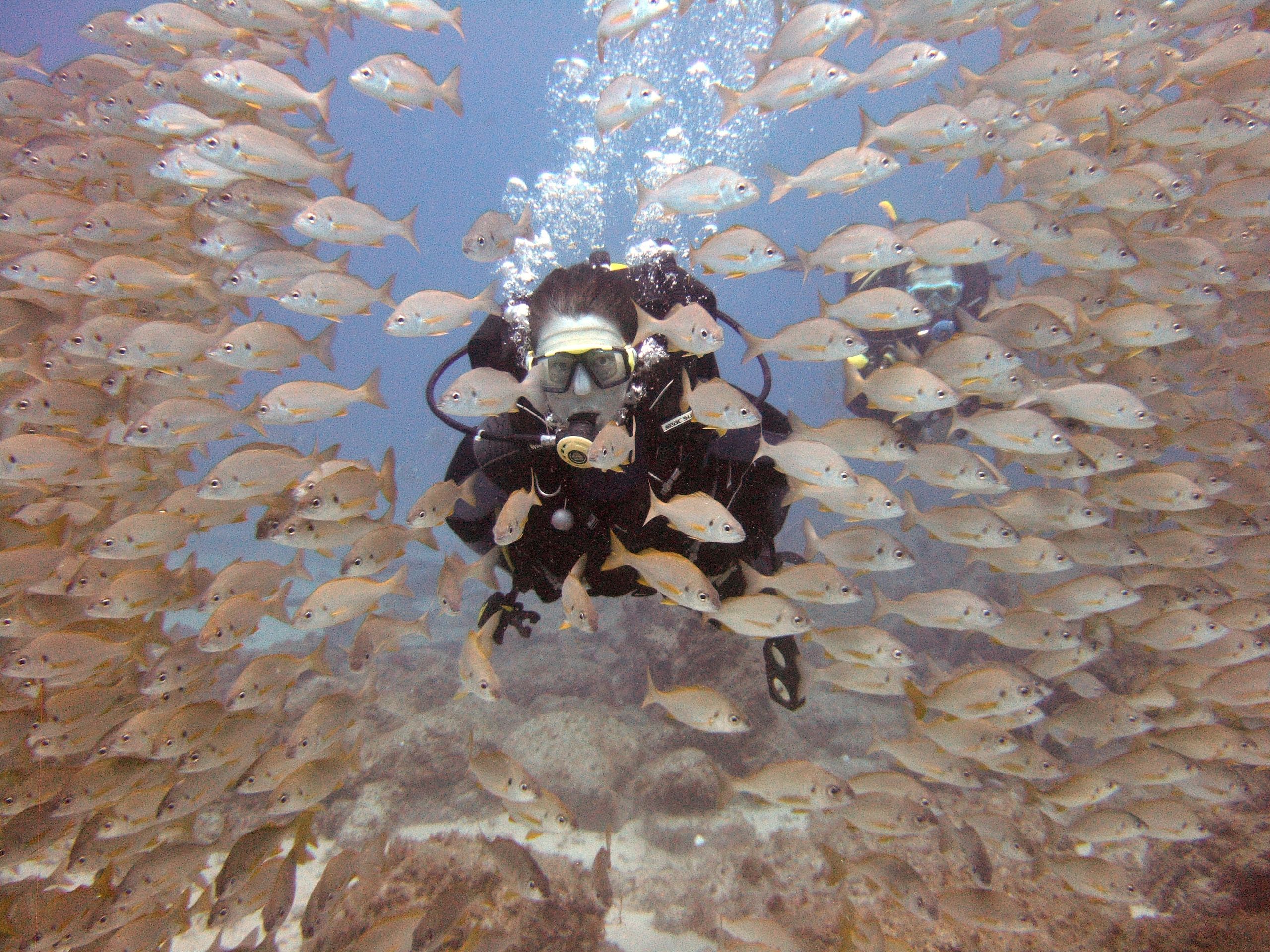 Tenerife Scuba