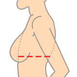Bra Size Calculator Online · Twitter
