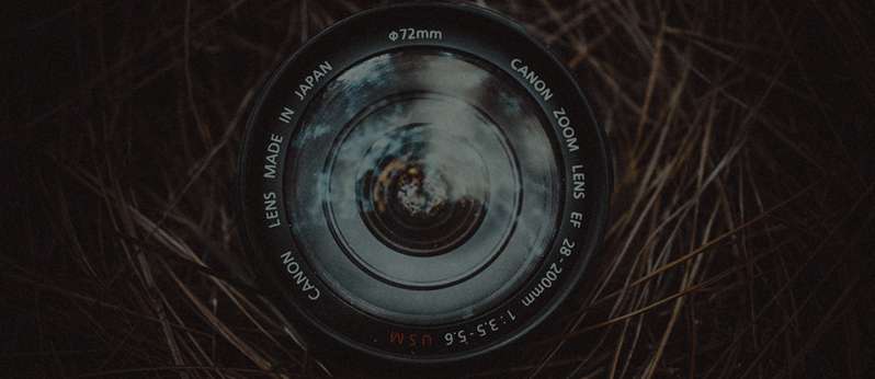Free Images, Stock Photos, Videos, PNGs & Templates | Pikwizard · Twitter