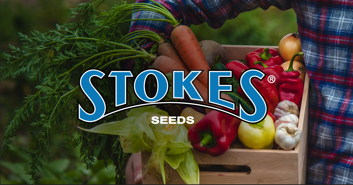 Quality Seeds Since 1881 - Stokes Seeds · Twitter