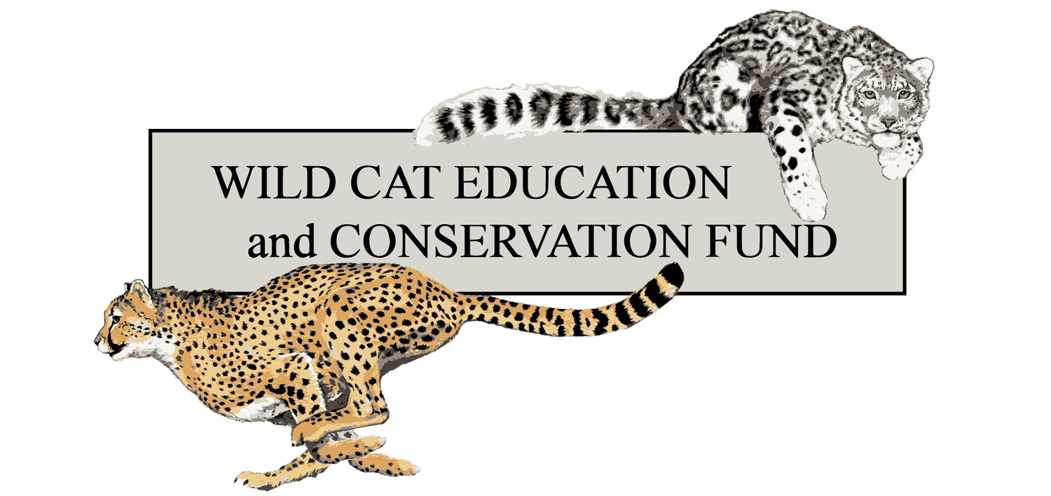 Wild Cat Education and Conservation Fund · Twitter