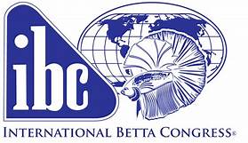 International Betta Congress – We keep, breed and show bettas. · Twitter