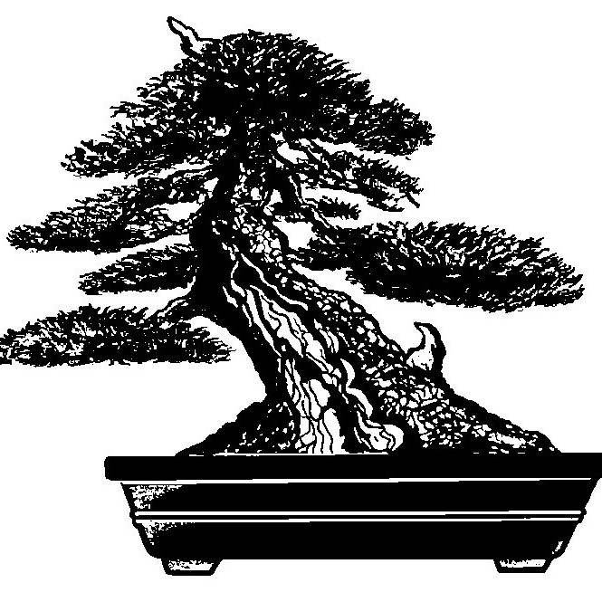 Bonsai Society of Portland · Twitter