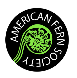 American Fern Society · Twitter
