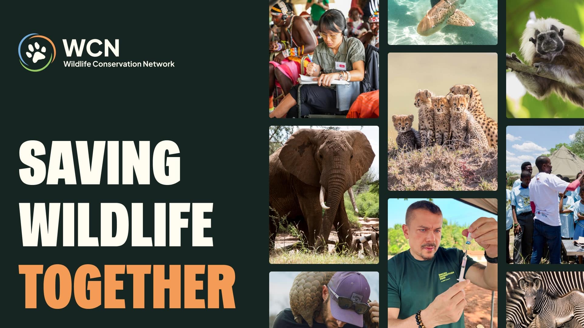 Wildlife Conservation Network (WCN) · Twitter