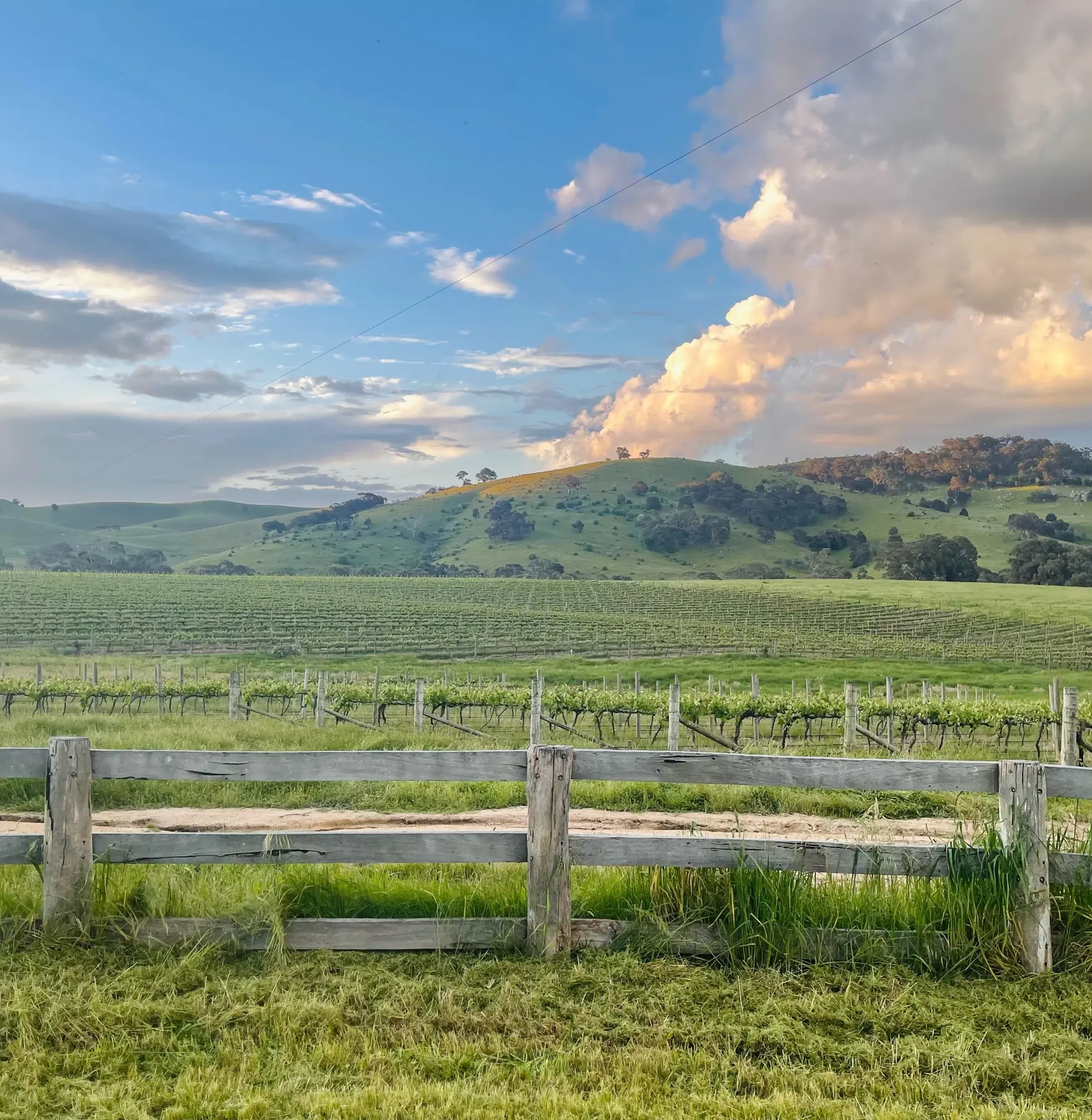 Vineyard and granite country at McIvor Estate in Tooborac