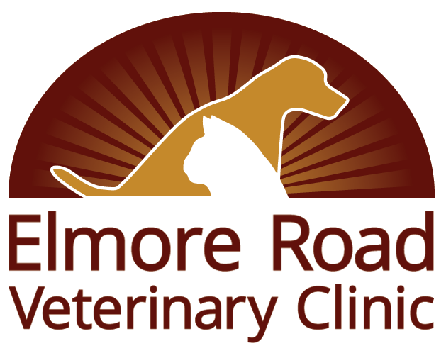 Elmore Road Veterinary Clinic - Veterinarian & Animal Hospital in Southaven, MS · Twitter