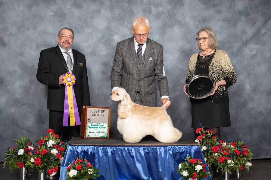 Home - Kebec's Cockers - Pierre Talbot & Jean Delisle Judges · Twitter