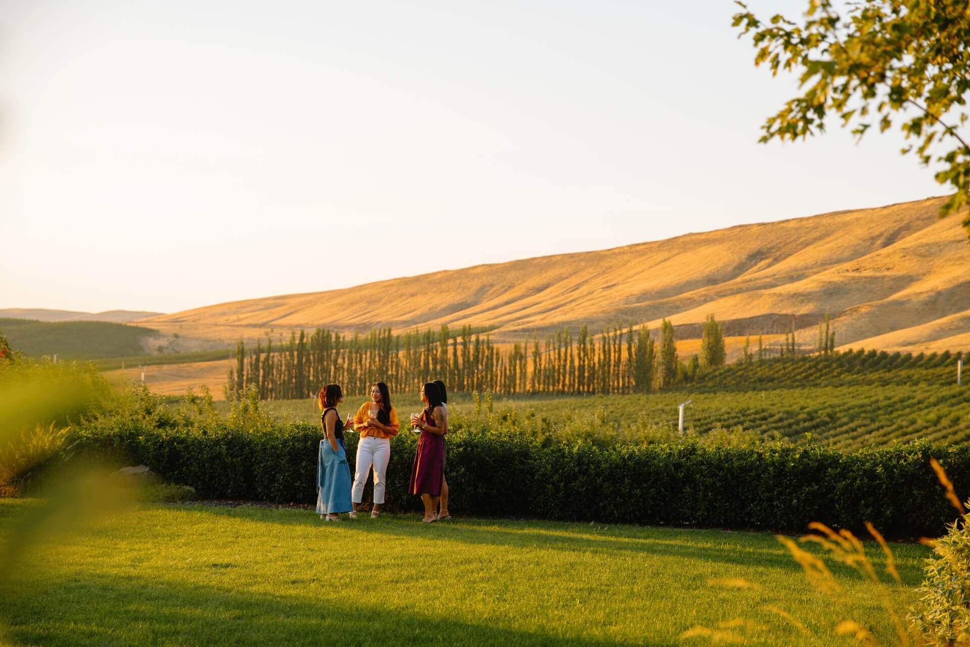 The State of Washington Homepage · Twitter