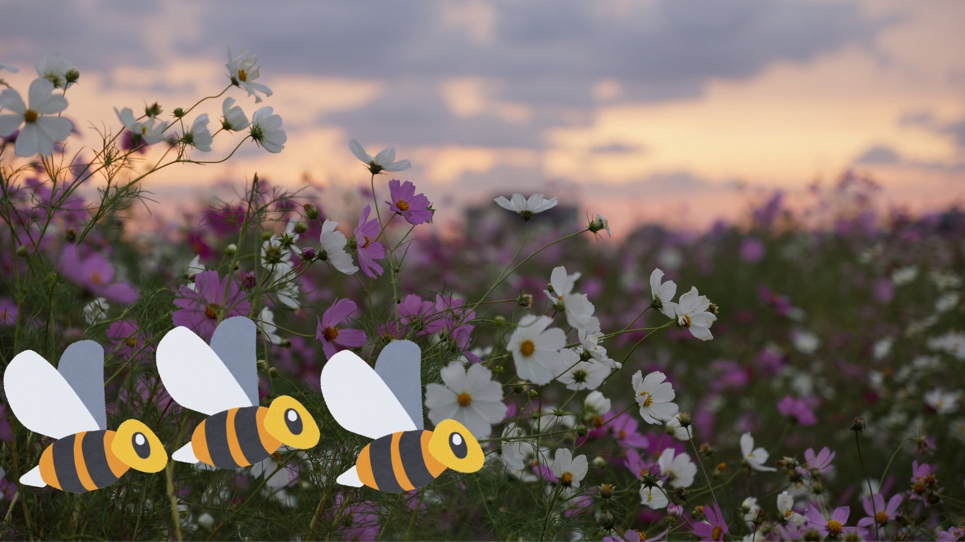 Help Save the Bees Foundation