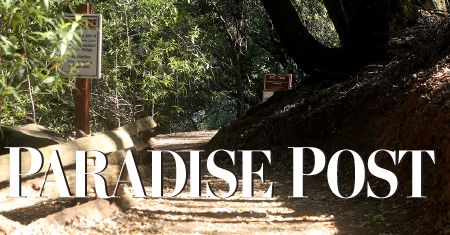Paradise Post · Twitter