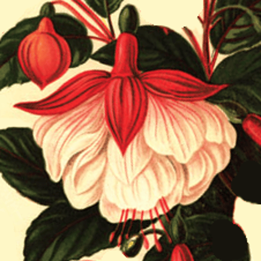 Olde Ripton Garden Club · Twitter