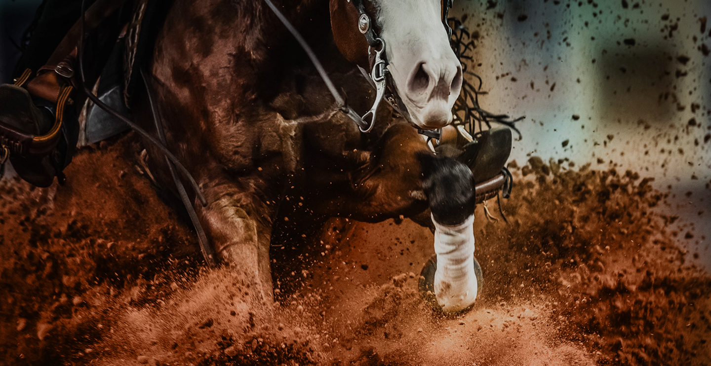 National Reining Horse Association | This Right Here Is Reining · Twitter