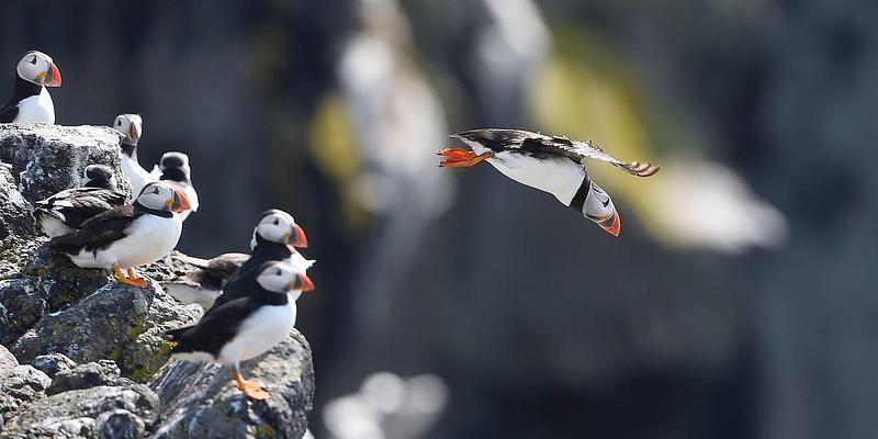 The wonder of wildlife · Twitter