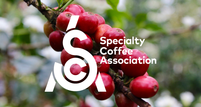 Specialty Coffee Association · Twitter