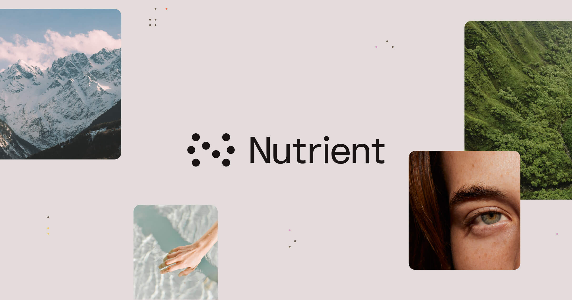 Nutrient — Deterministic document platform | PDF SDK and document APIs · Twitter