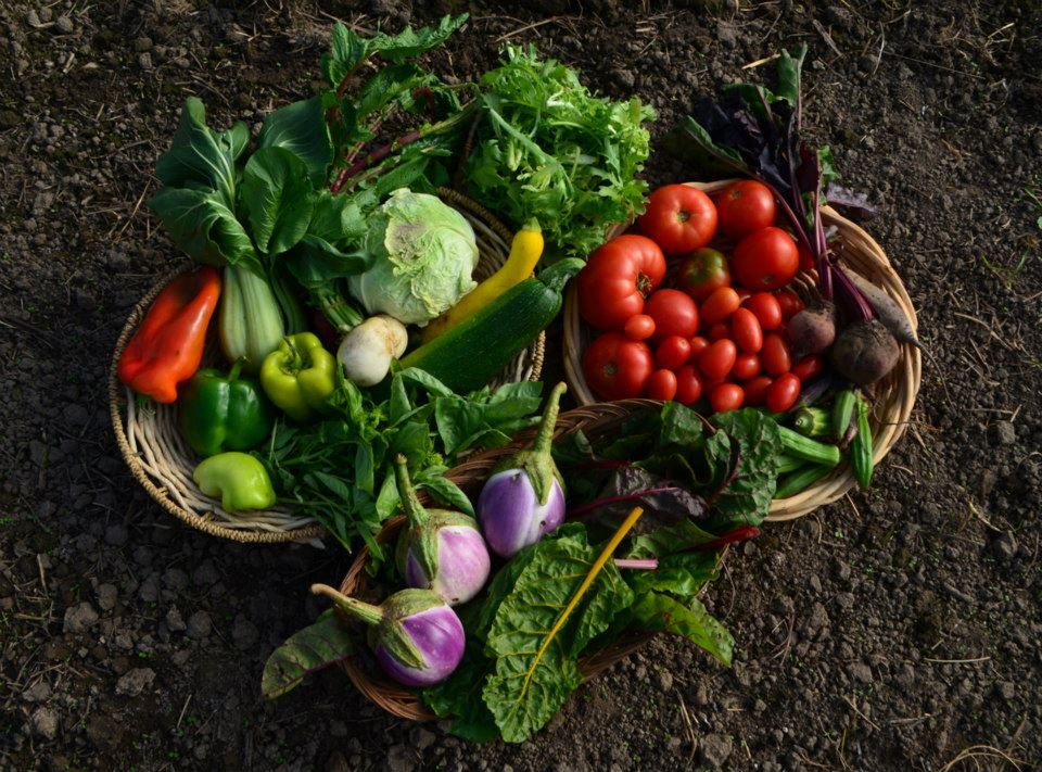 Scotch Hill Farm and Innisfree Farm Stay · Twitter