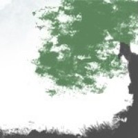 What's new · Twitter