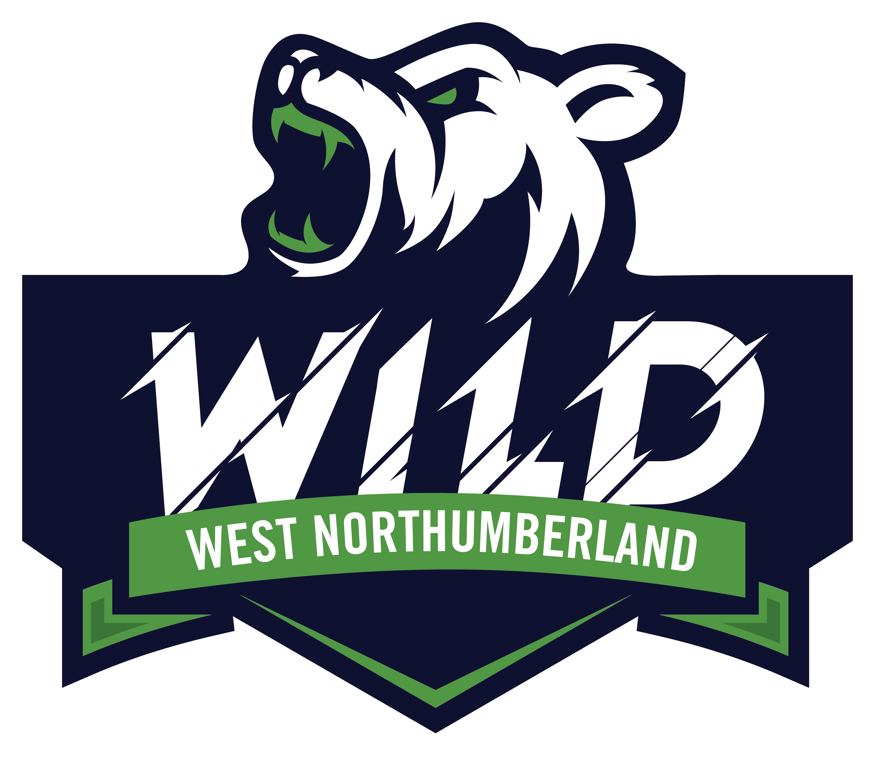 West Northumberland Girls Hockey Association · Twitter