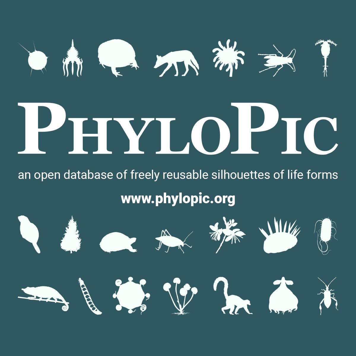 PhyloPic · Twitter