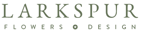 Larkspur · Twitter