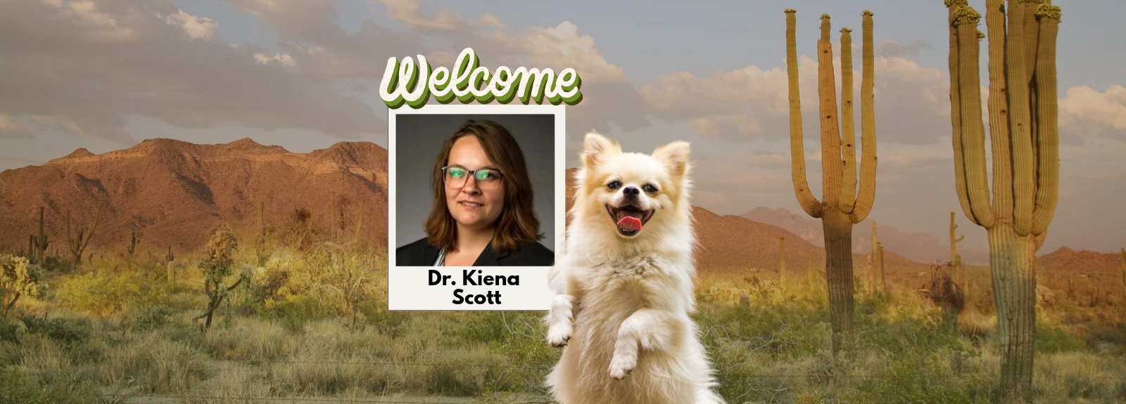 Animal Hospital in Tucson, AZ | Sahuaro Vista Veterinary Clinic · Twitter