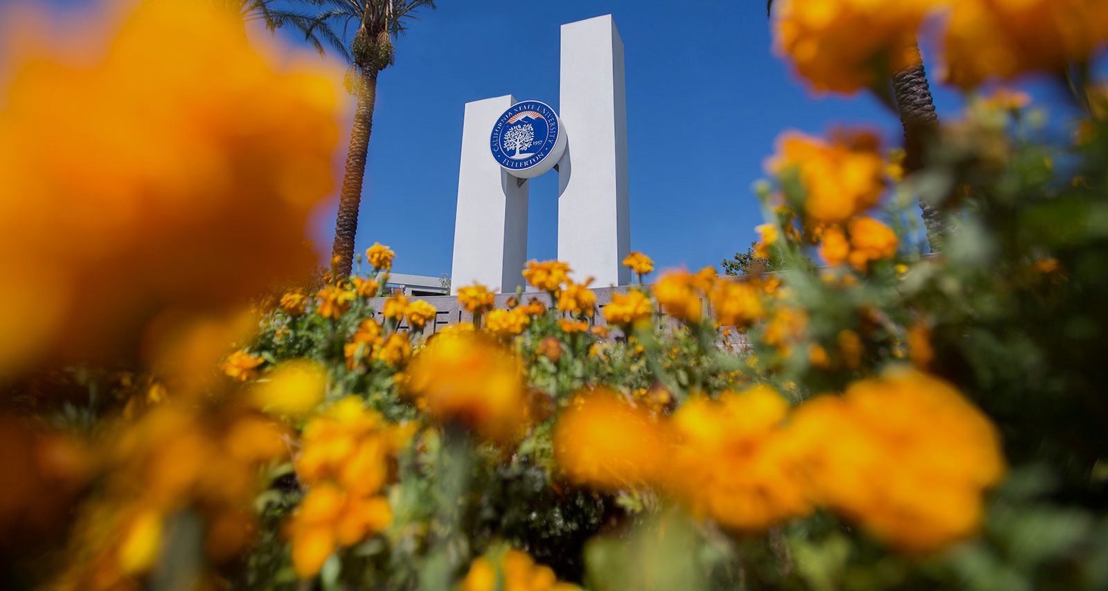 View of the campus pillars.