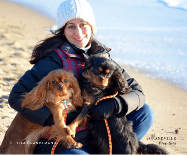 Grandville Cavaliers Companion · Twitter