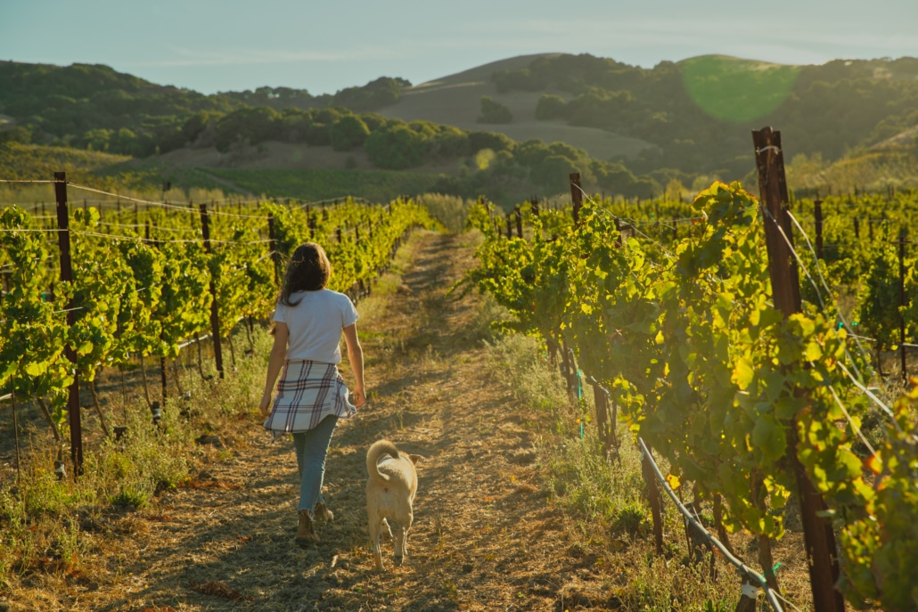 Sonoma County Vintners - Supporting Our Wine Community · Twitter