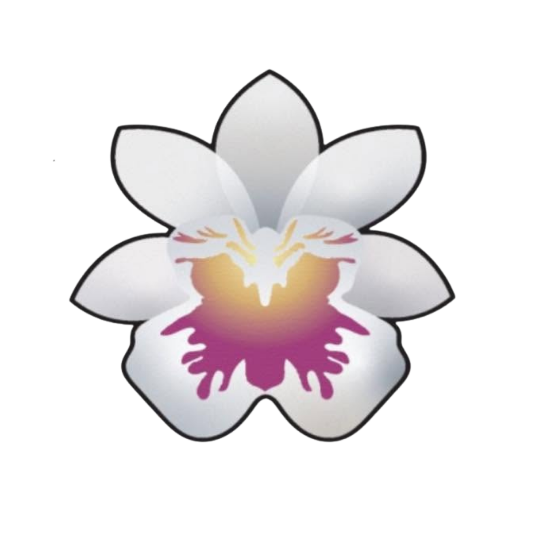 Victoria Orchid Society · Twitter
