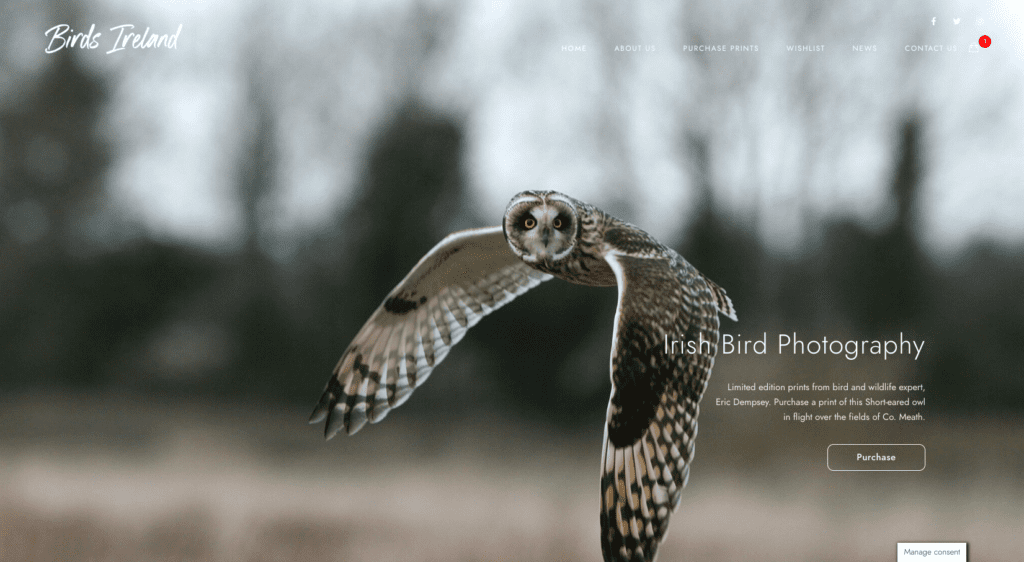 Birds Ireland Photography - Limited edition photography prints from bird and wildlife expert, Eric Dempsey. · Twitter