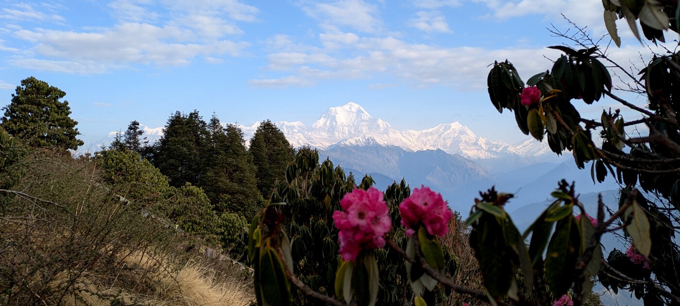 Nepal Trekking Company: Local Expert Since 1998 · Twitter