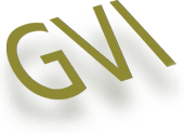 GVI | Video production in Washington, DC for events, digital campaigns and websites · Twitter