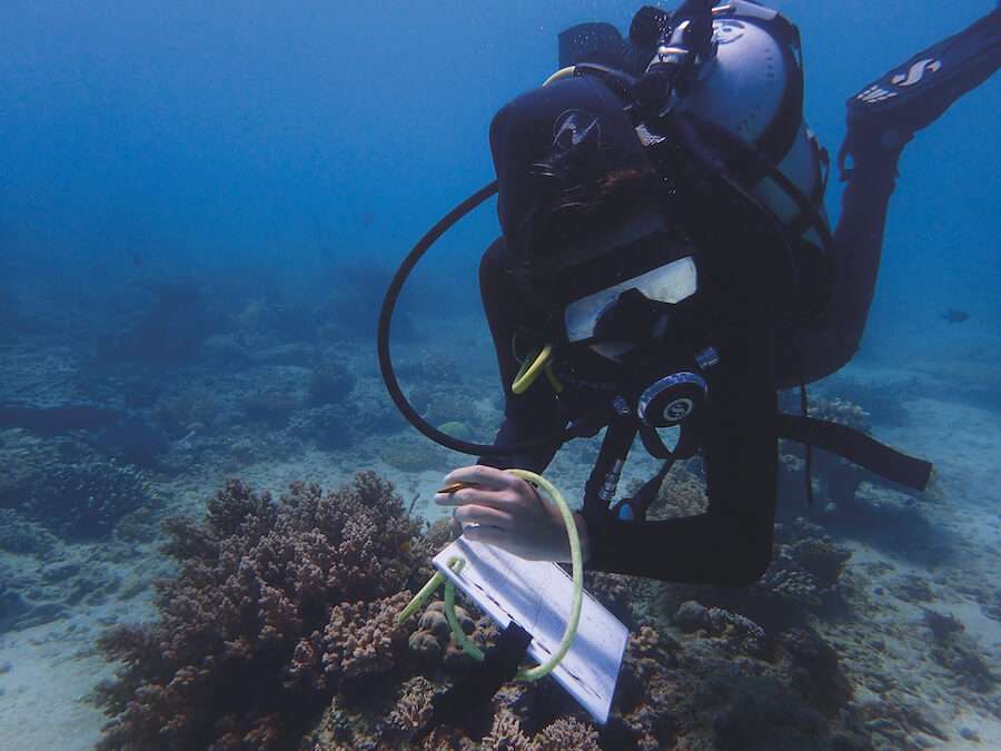 Marine Conservation Philippines · Twitter