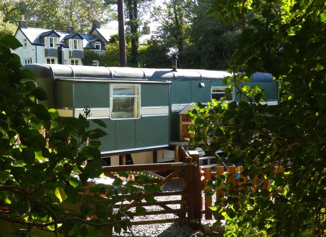 The wagon in the summer sunshine