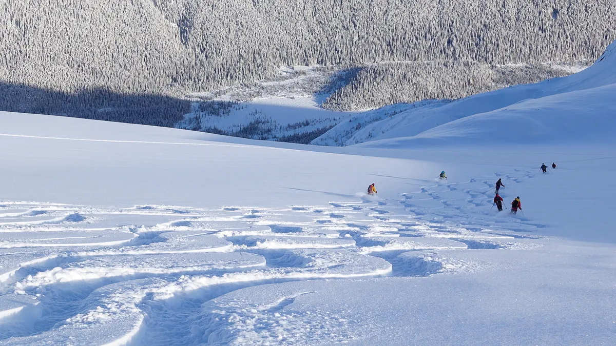 Sawback Alpine Adventures - Mountain and Ski Guide Services