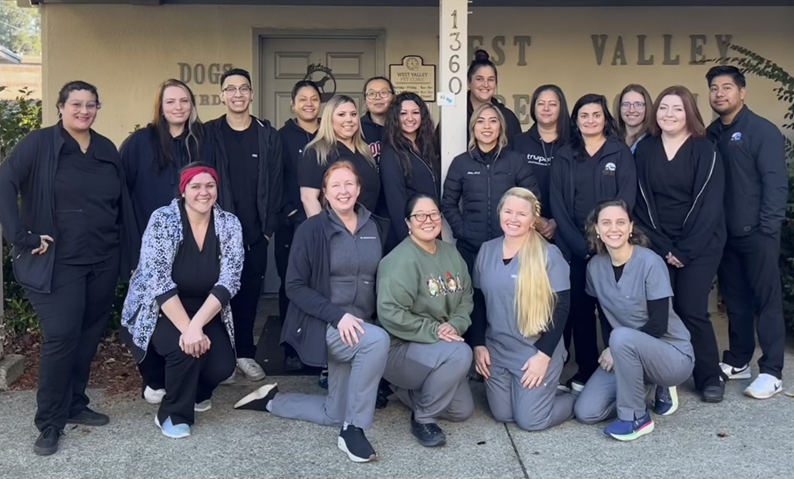 Experienced Veterinarian in San Jose, CA | West Valley Pet Clinic · Twitter