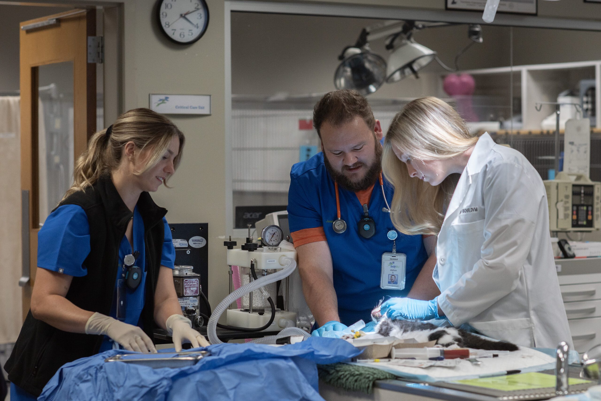 Animal Hospital in Indianapolis, IN | IndyVet Emergency & Specialty Hospital · Twitter