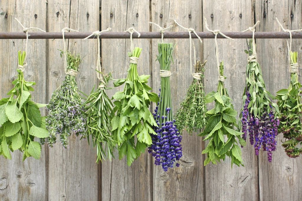 Madison Herb Society