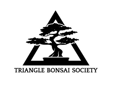 Triangle Bonsai Society · Twitter
