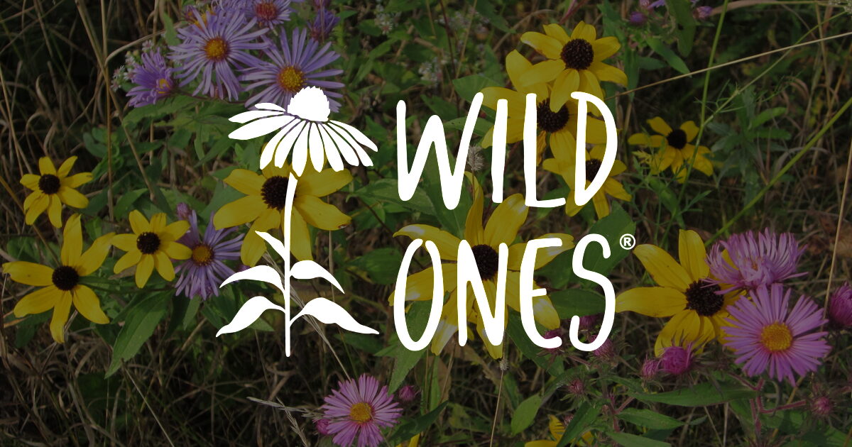 Wild Ones: Native Plants, Natural Landscapes · Twitter