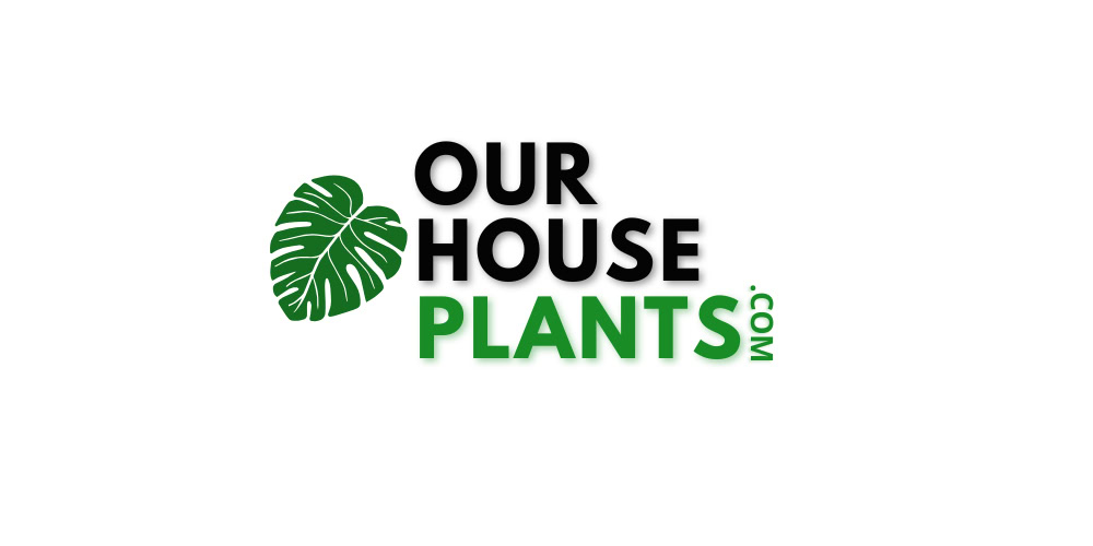 OurHouseplants | Houseplant Care Guides, Plant Profiles and Practical Help · Twitter