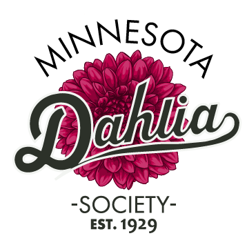 Minnesota dahlia | Minnesota Dahlia Society · Twitter